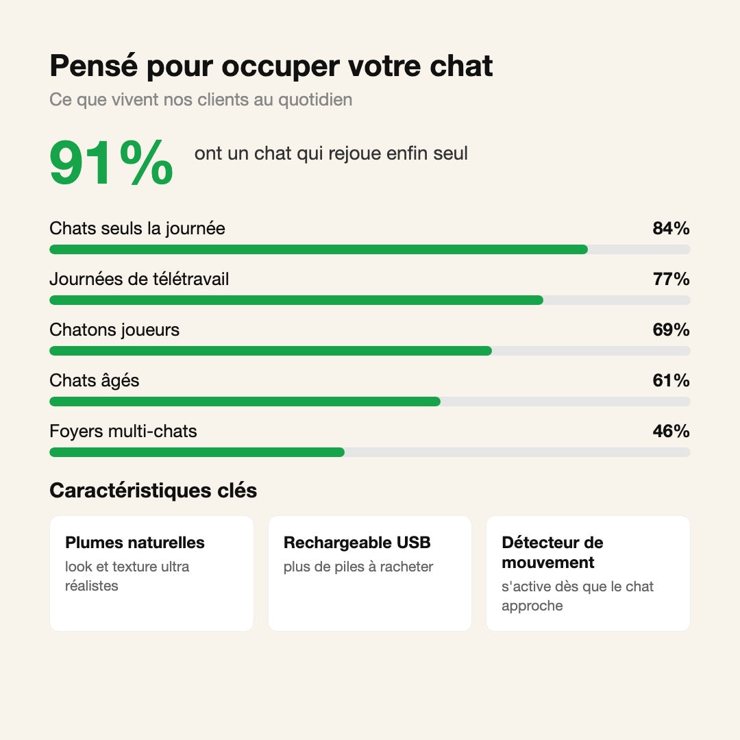 Jouet Chat — Oiseau Gazouillant
