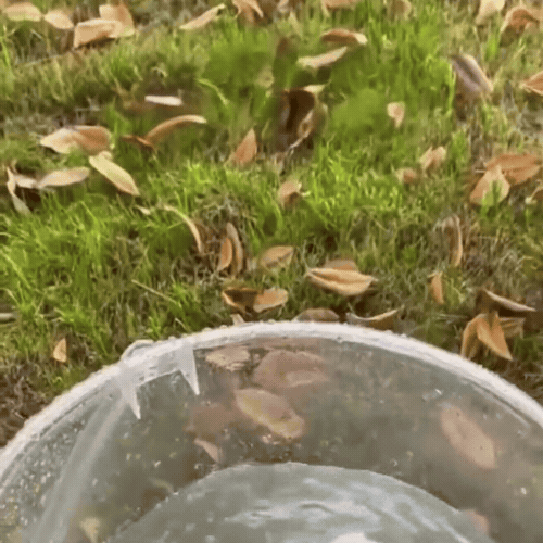 AquaNomade demo